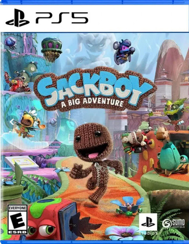 دیسک بازی سک بوی/DISK SACKBOY